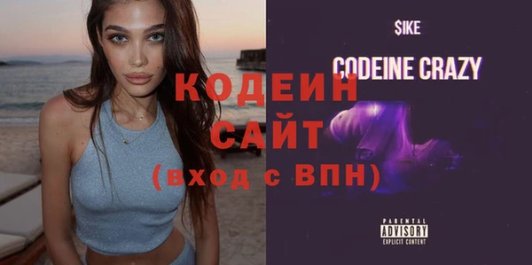 индика Гатчина