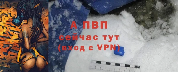 СК Балахна