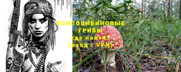 СК Балахна