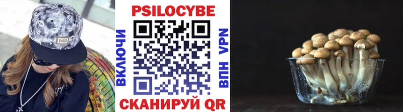 Псилоцибиновые грибы MAGIC MUSHROOMS  площадка какой сайт  Лесосибирск 